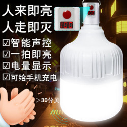 聲控超亮LED無線充電燈泡樓道家用節能燈夜市擺攤戶外露營帳逢燈