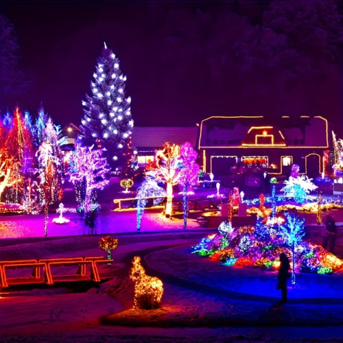 1 Pack Of 98FT 300 LED String Lights Multi color, Christmas
