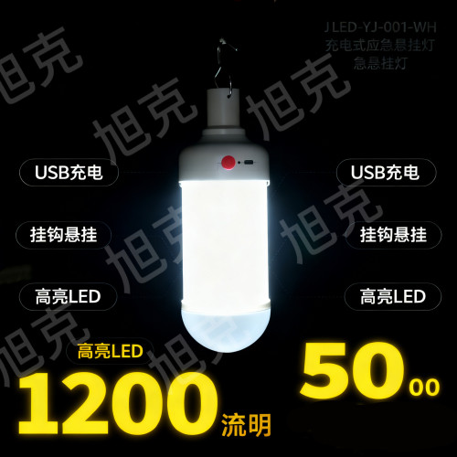 led充電泡夜市擺攤戶外可攜式露營燈usb充電應急燈停電照明球泡燈