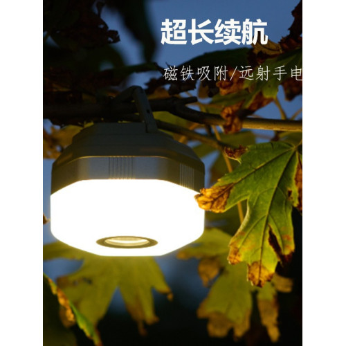 款照明燈戶外防水警示氛圍燈充電磁吸護眼閲讀手電野營燈