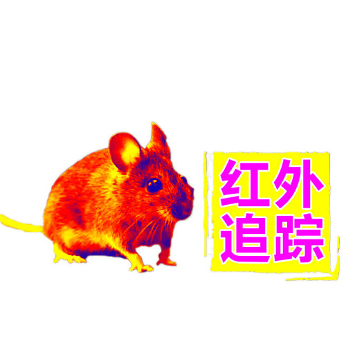 熱麥高清紅外夜視儀找鳥觀鳥熱搜熱相儀手機熱像儀戶外用品
