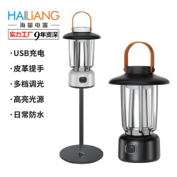 復古手提戶外露營燈野營燈鐵藝迷你懸掛三光源暖光氛圍燈充電