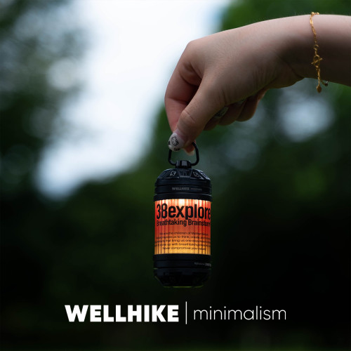 WELLHIKE戶外迷你夕照燈野營帳篷照明小巧可攜式氛圍幸運轉盤20燈