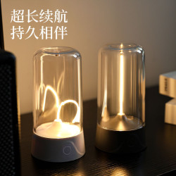 LED露營燈 Type-c充電量子線可攜式小夜燈高透磁吸創意氛圍燈