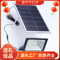 太陽能燈照明燈家用戶外庭院燈路燈 