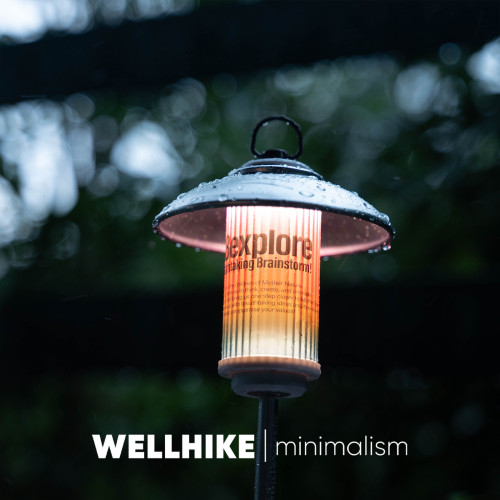 WELLHIKE戶外SWS全鋁小燈架套裝露營氛圍燈具法蘭盤支架復古燈罩