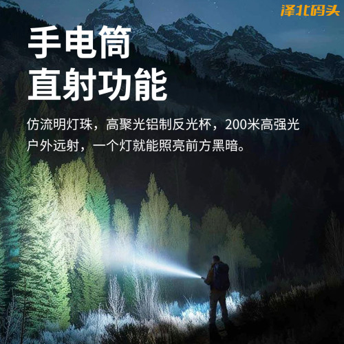 戶外露營燈超長續航強光多功能家用充電式潛水驅蚊磁吸汽修手電筒