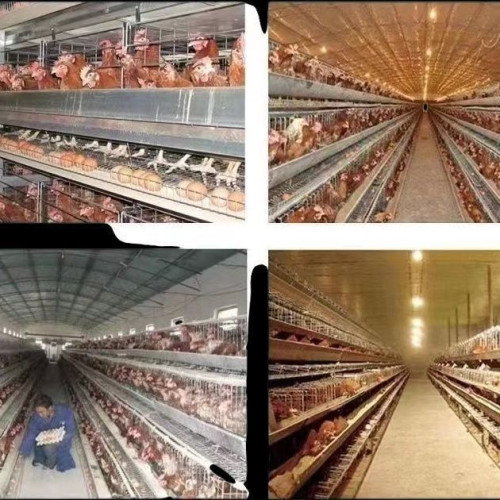 戶外高亮燈串防水燈泡彩燈露營氛圍燈節日串燈庭院裝飾燈掛燈吊燈