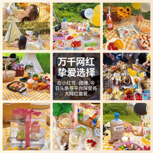 戶外加厚野餐墊防水防潮野炊墊野營沙灘帳篷地墊春遊墊子可攜式郊遊