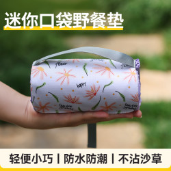 親子可攜式野餐墊輕薄防潮折疊戶外旅行沙灘墊子春遊露營地墊