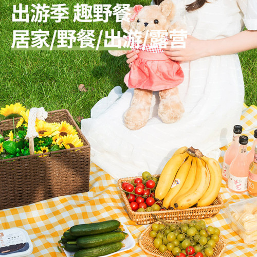 野餐墊防潮墊加厚戶外野炊野營沙灘帳篷地墊防水草坪墊子可攜式郊遊