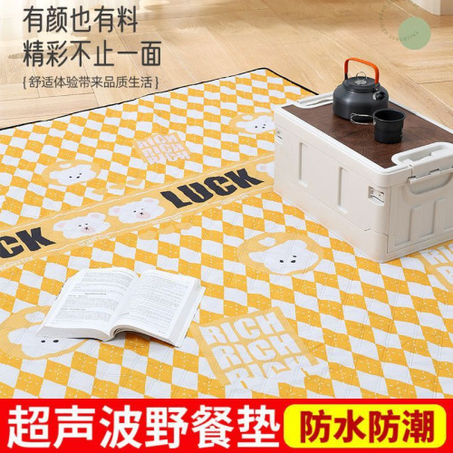 野餐墊防潮墊加厚露營帳篷內墊可攜式草坪沙灘防水春遊墊子戶外地墊