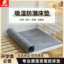 宿捨防潮毛氈床墊大學生宿捨防毛刺男女高中大學住校生防潮墊