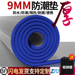 防潮墊加厚戶外露營野餐墊可攜式防水帳篷墊子家用打地鋪睡墊地墊墊