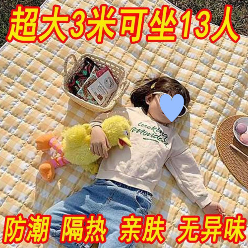 戶外野餐墊防潮墊防水超音波加厚野炊露營墊可攜式郊遊地墊ins風