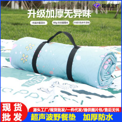 春遊野餐墊加厚防水防潮墊可機洗可攜式露營墊子戶外帳篷野營地墊