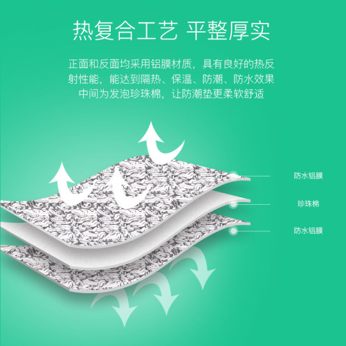 可攜式春遊露營防潮墊 2m*2m戶外沙灘防水鋁膜地墊 單人露營墊子