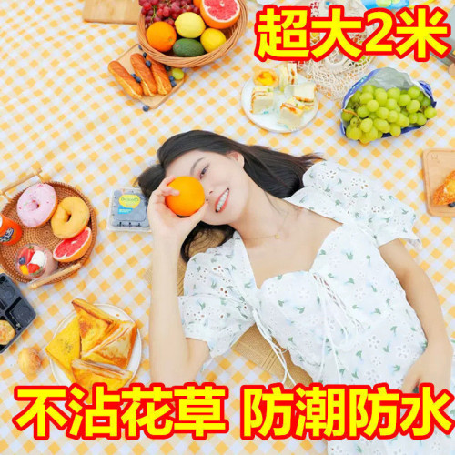戶外野餐墊可攜式野餐地墊加厚墊子墊沙灘墊草坪地墊郊遊玩野炊