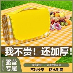 防潮墊坐墊地草坪春遊野炊野餐野營墊加厚墊子防水水草防潮外野帳