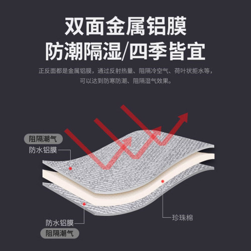 P5H加厚防潮墊戶外可攜式可折疊公園草坪帳篷墊子防水雙層鋁膜野