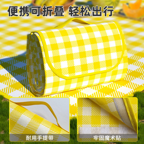 可攜式野餐墊戶外露營沙灘墊子春遊野炊地墊