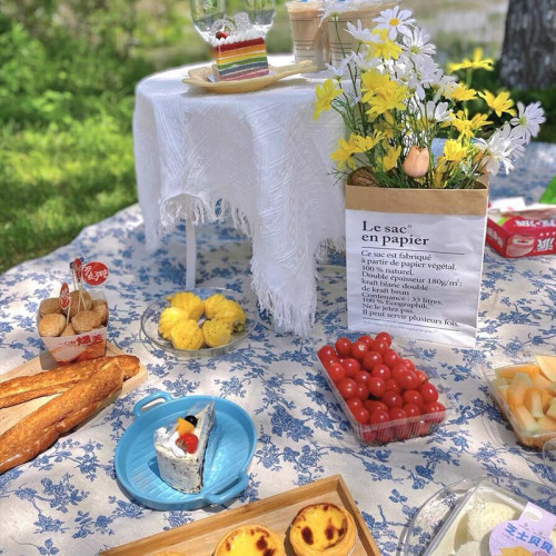 法式戶外露營野餐布春遊青花防潮墊可攜式草地墊子加厚防潮墊沙灘毯