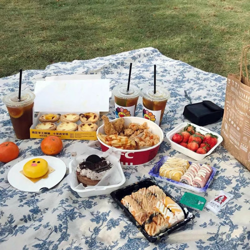 法式戶外露營野餐布春遊青花防潮墊可攜式草地墊子加厚防潮墊沙灘毯