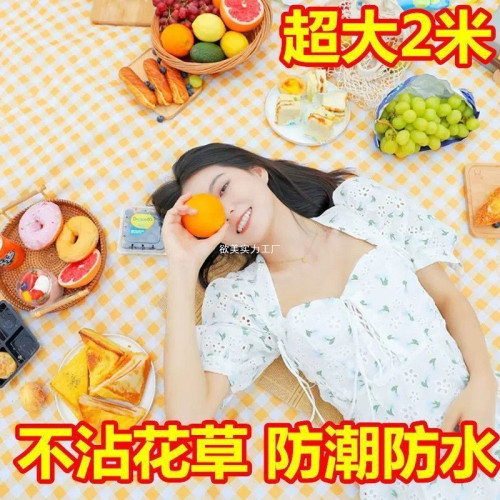 野餐墊防潮墊戶外野餐布露營防水坐墊防潮布帳篷折疊地墊可收納