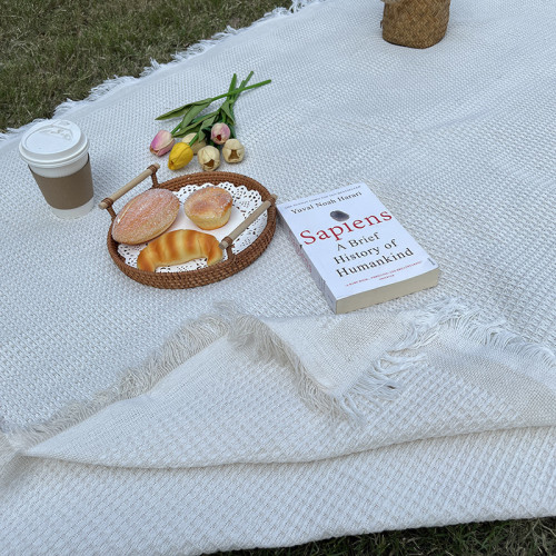 野餐墊法式文藝ins戶外露營通用加厚雙面野餐布桌布網紅拍照墊子
