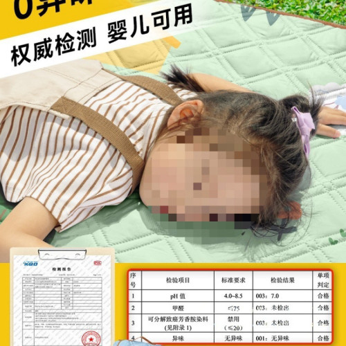 野餐墊防潮墊加厚春遊戶外防水超音波地墊可攜式野炊春遊露營帳篷墊