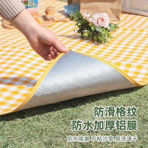 野餐墊防潮墊加厚戶外用配帳篷露營坐墊可攜式防潮
