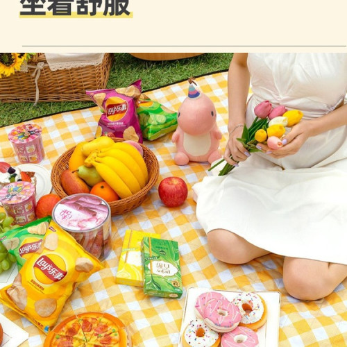 野餐墊防潮墊加厚戶外防水露營帳篷地墊野營草坪可折疊可攜式沙灘墊