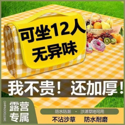 野餐墊戶外防潮墊可攜式春遊地墊野餐布ins風露營墊子郊遊野炊牙貼