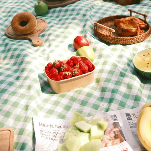 野餐墊潮墊加厚地墊戶外露營野餐布沙灘墊音樂節水坐墊子絨布