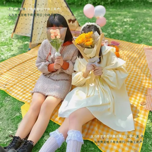 戶外露營防潮地墊野餐地墊子防水防沙沙灘加厚牛津布公園野炊可攜式