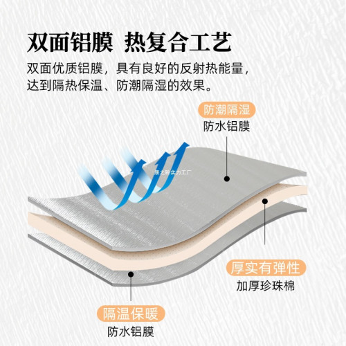 帳篷防潮墊戶外可攜式加厚露營家用打地鋪鋁箔膜野餐墊子地墊