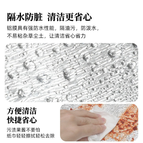帳篷防潮墊戶外可攜式加厚露營家用打地鋪鋁箔膜野餐墊子地墊