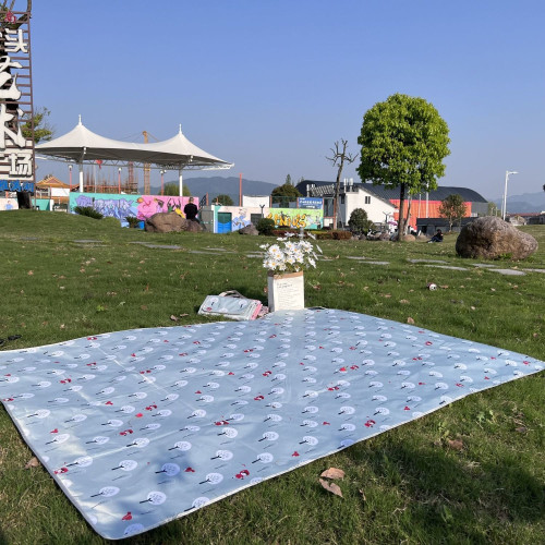 野餐墊防潮墊加厚戶外野炊野營帳篷地墊草坪墊子可攜式春遊坐墊防水