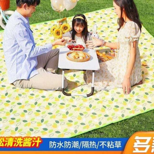 戶外野餐墊郊遊地墊折疊可攜式防水加厚野炊墊郊遊露營防潮墊