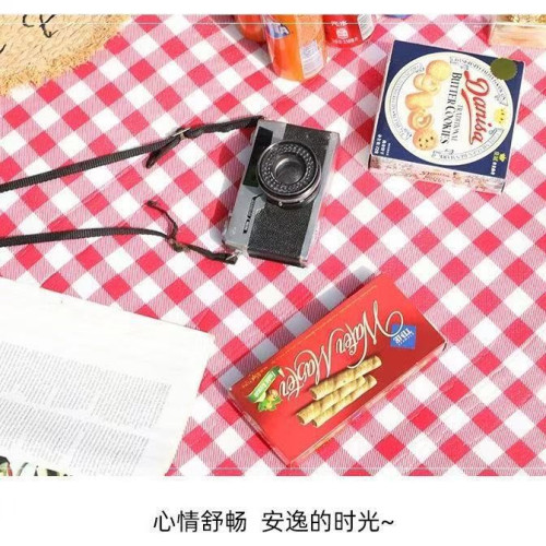 加厚野外露營墊戶外野炊墊野餐布墊坪墊子鋪地宿捨床墊防潮墊隔髒