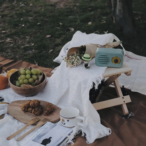 野餐墊防潮墊野餐布戶外露營白色毯子沙灘墊帳篷地墊法式海邊悅系
