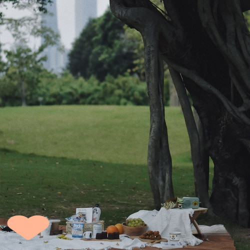 野餐墊防潮墊野餐布戶外露營白色毯子沙灘墊帳篷地墊法式海邊悅系