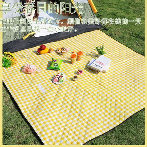 戶外郊遊露營防水草野餐布加厚超音波帳篷沙灘野炊防潮墊春遊地墊