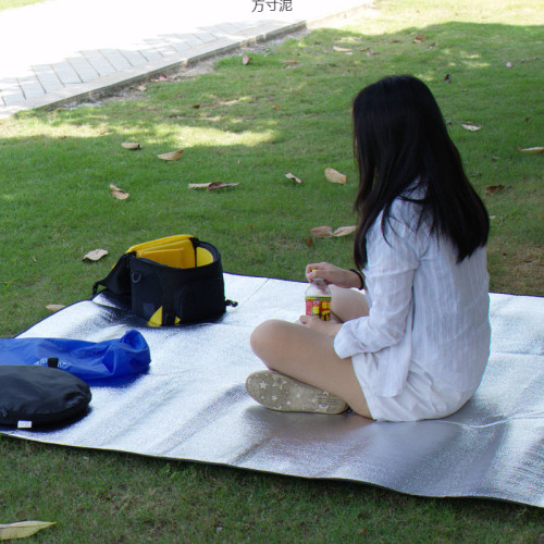 墊春遊地墊野餐墊戶外可攜式野外露營墊子野炊地墊