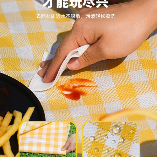 戶外野餐墊防潮墊加厚野炊野營沙灘帳篷地墊防水草坪墊子可攜式
