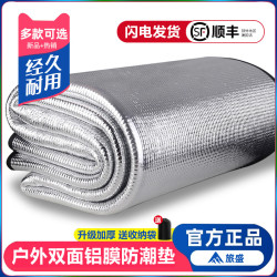 防潮墊戶外露營可攜式加厚鋁箔膜帳篷用睡墊家用打地鋪野餐墊子地墊