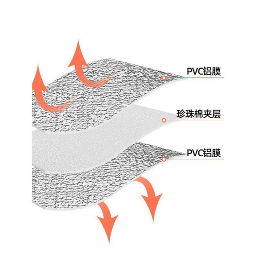 戶外防潮墊雙面鋁膜可攜式野餐墊露營帳篷沙灘墊雙人午休地墊加厚