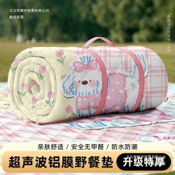 加厚露營帳篷內墊可攜式草坪沙灘防水墊子戶外地墊速營野餐墊防潮墊