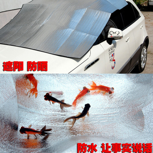 雙面鋁膜墊防潮墊草地墊露營墊地蓆野餐墊沙灘墊2x2米2x1.5米多人