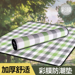 露營墊鋁膜戶外加厚可攜式帳篷睡墊子家用打地鋪地墊野餐墊